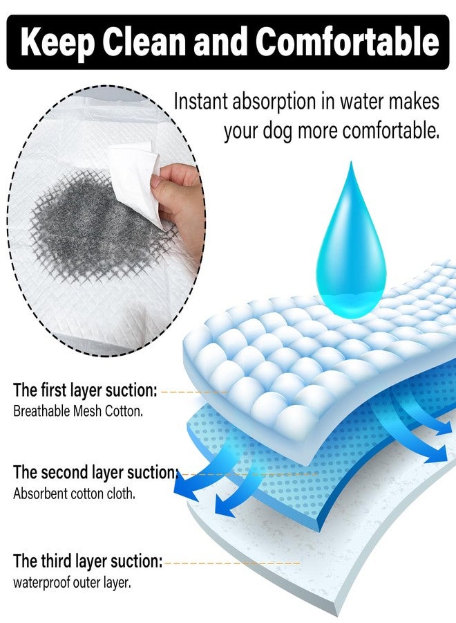 JONYEE Basics Dog and Puppy Pee Pads with 4-Layer Leak-Proof and Quick-Dry Design for Potty Training, 13” x 17” Ultra Absorbent Disposable Changing Pads for Small Pets -Blue(25 Count) - Image 3